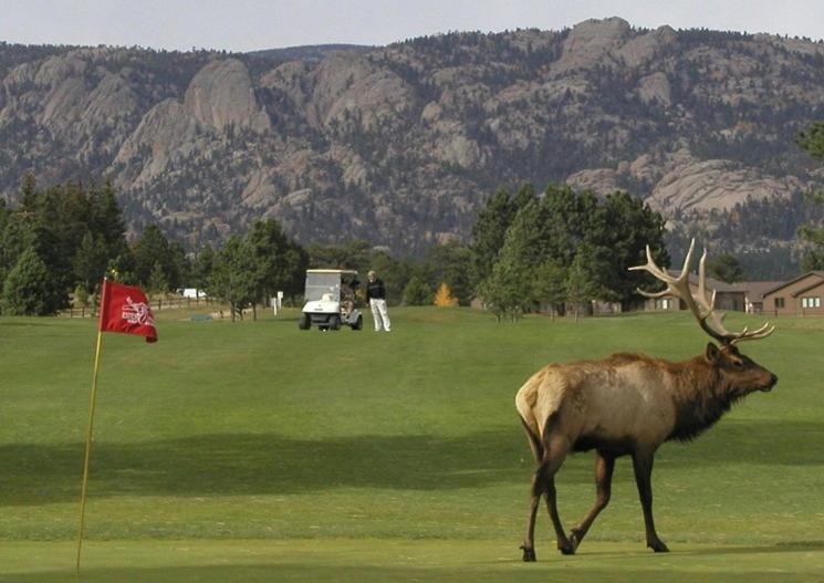 Lily Mountain Lodge - Amazing Mountains Views, Private Hot Tub, Great Location Estes Park Exterior foto