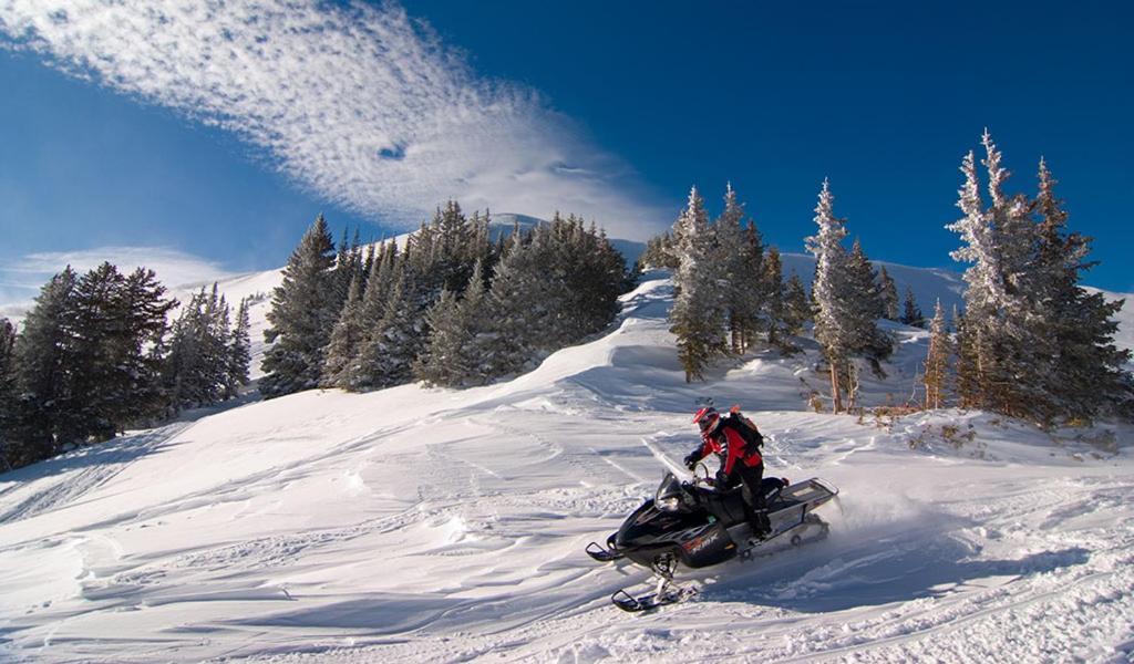 Lily Mountain Lodge - Amazing Mountains Views, Private Hot Tub, Great Location Estes Park Exterior foto